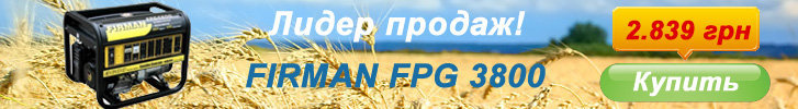 Бензиновый генератор FIRMAN FPG 3800